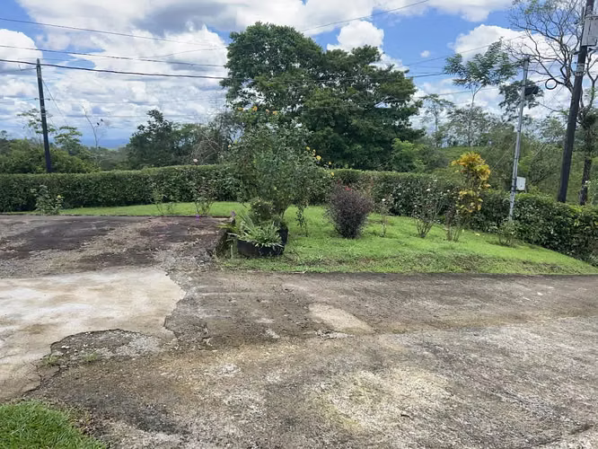 Finca en venta en Venecia de San Carlos.