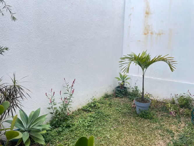 Alquiler Casa en Condominio Santa Ana - Imagen 7