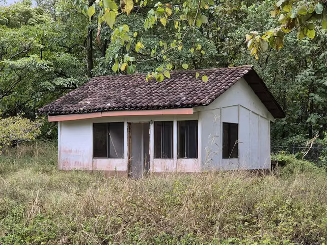 Finca de Teca de Primera en Venta – 75 Hectáreas en La Cruz