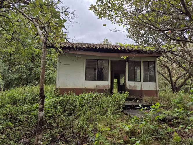 Finca de Teca de Primera en Venta – 75 Hectáreas en La Cruz