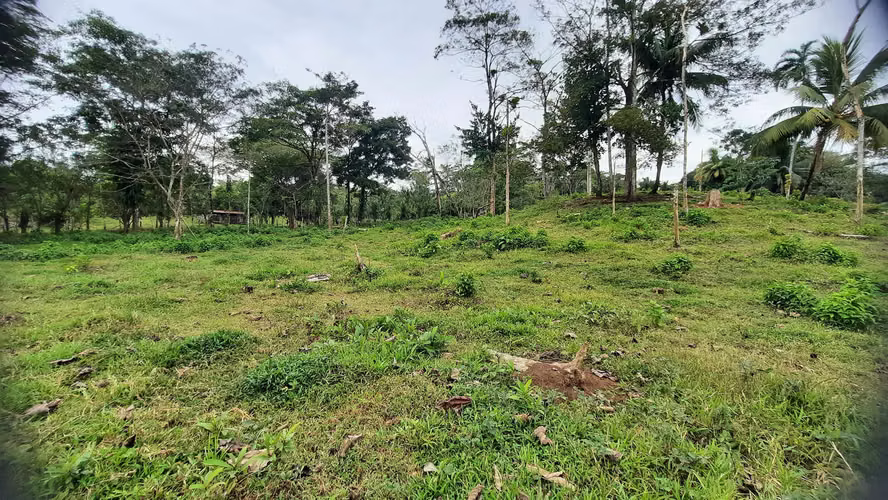 Finca con Potencial Agrícola y Turístico – 8 ha, Alajuela, Guatuso - Imagen 8