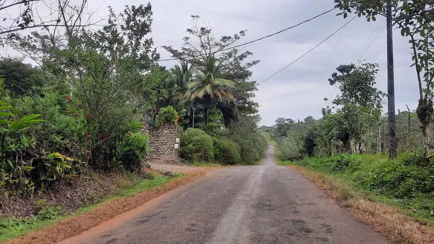Finca con Potencial Agrícola y Turístico – 8 ha, Alajuela, Guatuso - Imagen 2
