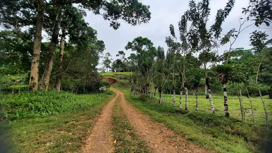 Finca con Potencial Agrícola y Turístico – 8 ha, Alajuela, Guatuso - Imagen 10