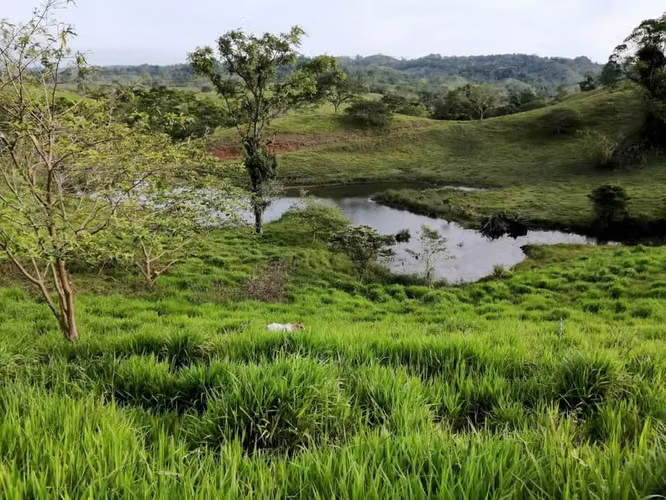 FINCA GANADERA CON  CASA, GUATUSO,ALAJUELA - Imagen 10