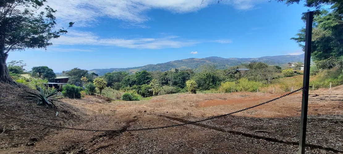LOTE CON PRECIO DE OPORTUNIDAD PARA INVERSIÓN, SAN RAMÓN, ALAJUELA - Imagen 7