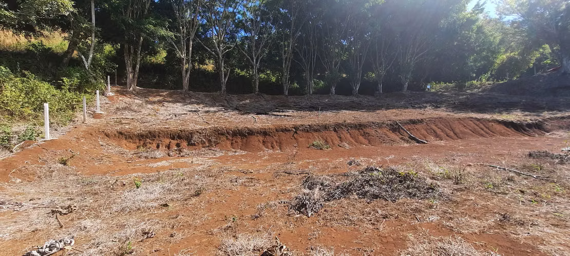 LOTE CON PRECIO DE OPORTUNIDAD PARA INVERSIÓN, SAN RAMÓN, ALAJUELA - Imagen 3