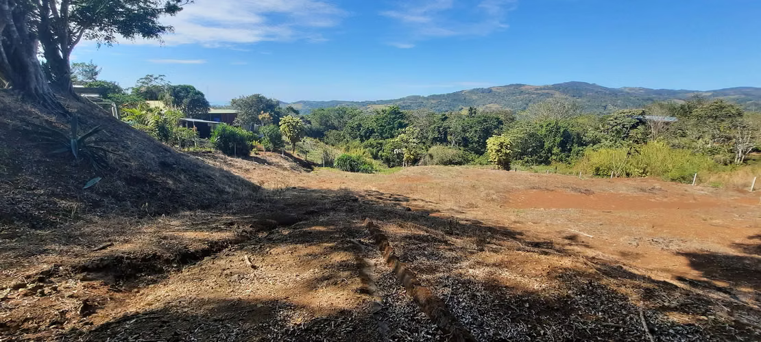 LOTE CON PRECIO DE OPORTUNIDAD PARA INVERSIÓN, SAN RAMÓN, ALAJUELA - Imagen 8
