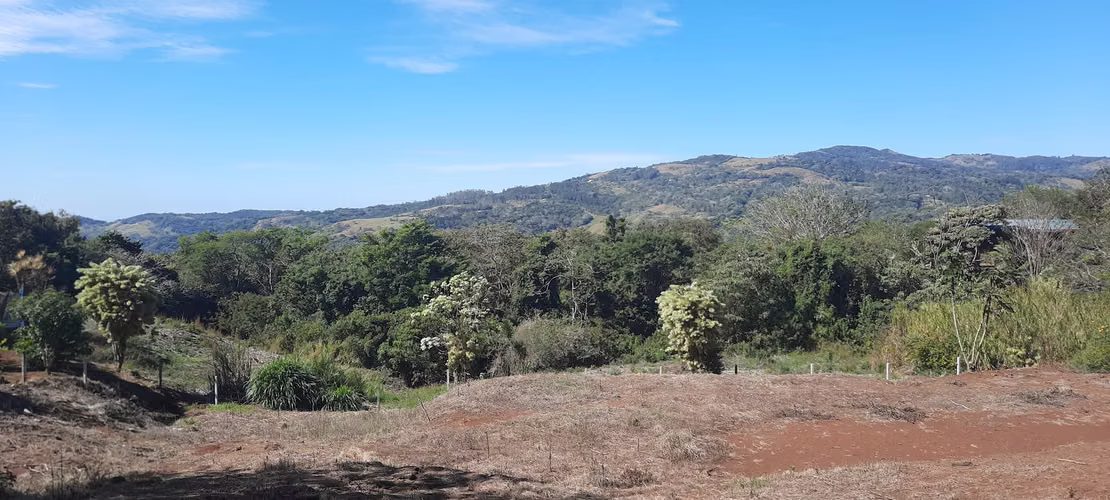LOTE CON PRECIO DE OPORTUNIDAD PARA INVERSIÓN, SAN RAMÓN, ALAJUELA - Imagen 6