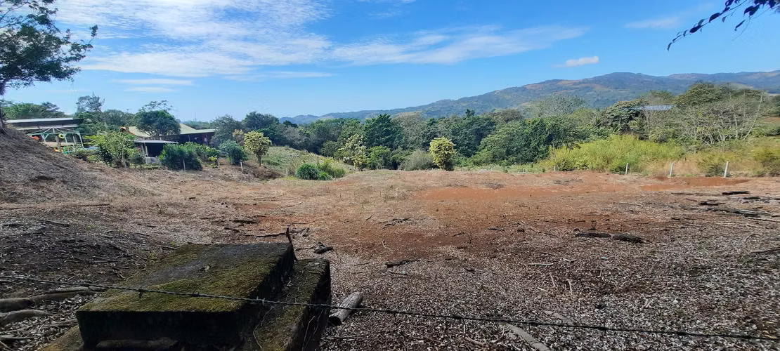 LOTE CON PRECIO DE OPORTUNIDAD PARA INVERSIÓN, SAN RAMÓN, ALAJUELA - Imagen 5