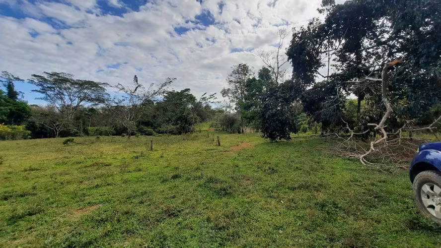 FINCA CON NACIENTE DE AGUA EN  SAN CARLOS, ALAJUELA
