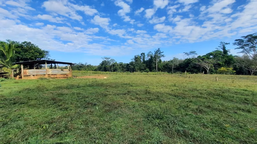 FINCA CON NACIENTE DE AGUA EN  SAN CARLOS, ALAJUELA