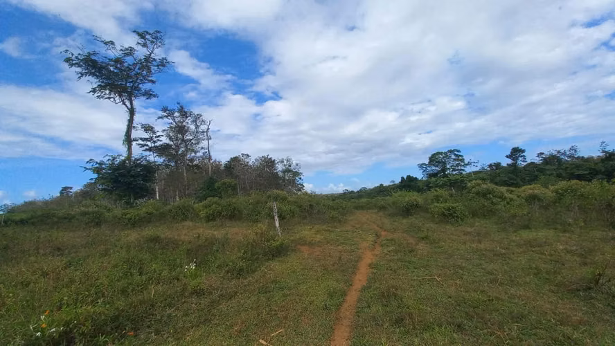 FINCA CON NACIENTE DE AGUA EN  SAN CARLOS, ALAJUELA