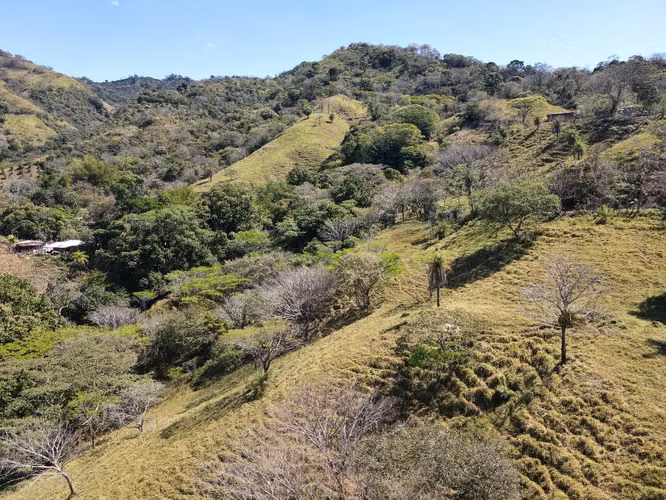 Terreno en venta en San Mateo 12 hectáreas en Desmonte - Imagen 3