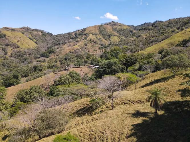 Terreno en venta en San Mateo 12 hectáreas en Desmonte - Imagen 8
