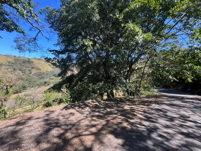 Terreno en venta en San Mateo 12 hectáreas en Desmonte - Imagen 4