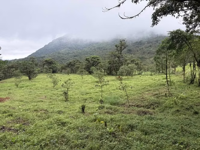 FINCA EN  BOSQUE NUBOSO,LA PAZ, SAN RAMÓN, ALAJUELA - Imagen 11