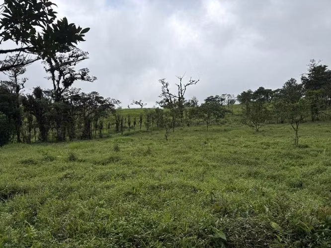 FINCA EN  BOSQUE NUBOSO,LA PAZ, SAN RAMÓN, ALAJUELA - Imagen 13