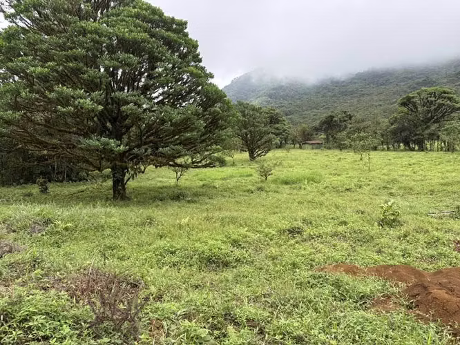 FINCA EN  BOSQUE NUBOSO,LA PAZ, SAN RAMÓN, ALAJUELA - Imagen 2