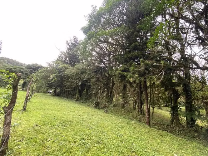 FINCA EN  BOSQUE NUBOSO,LA PAZ, SAN RAMÓN, ALAJUELA - Imagen 8