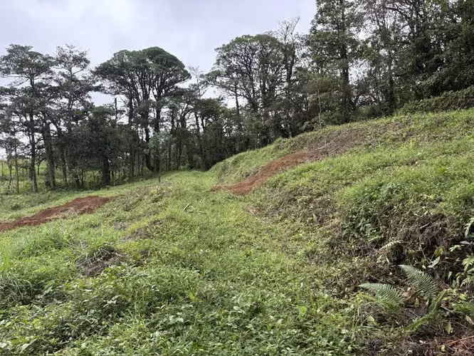 FINCA EN  BOSQUE NUBOSO,LA PAZ, SAN RAMÓN, ALAJUELA - Imagen 7