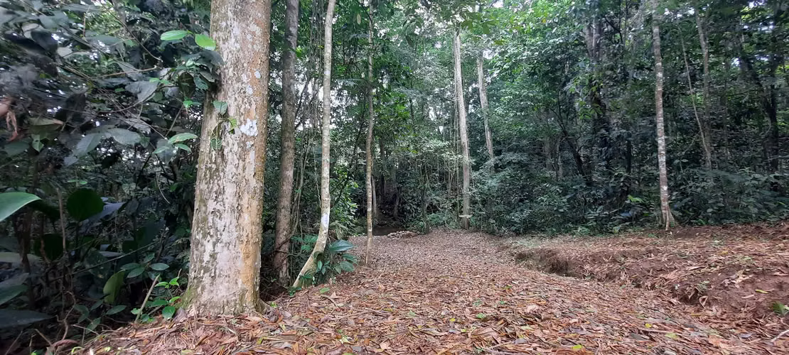 DE OPORTUNIDAD! TERRENO EN CANTON DE RIO CUARTO, ALAJUELA - Imagen 11