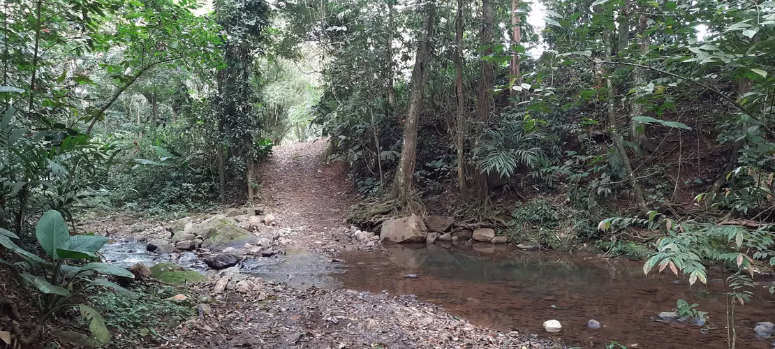 DE OPORTUNIDAD! TERRENO EN CANTON DE RIO CUARTO, ALAJUELA - Imagen 6