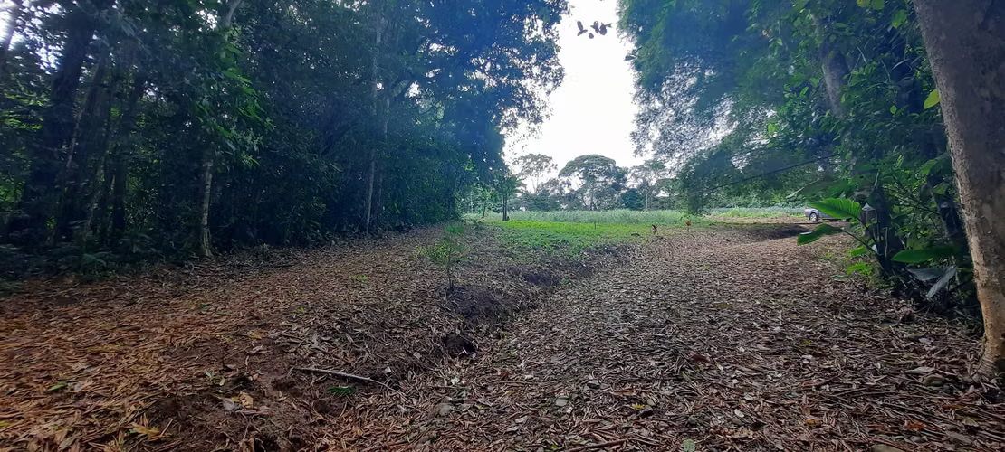 DE OPORTUNIDAD! TERRENO EN CANTON DE RIO CUARTO, ALAJUELA - Imagen 9