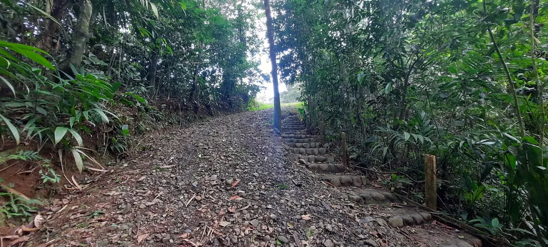 DE OPORTUNIDAD! TERRENO EN CANTON DE RIO CUARTO, ALAJUELA - Imagen 5
