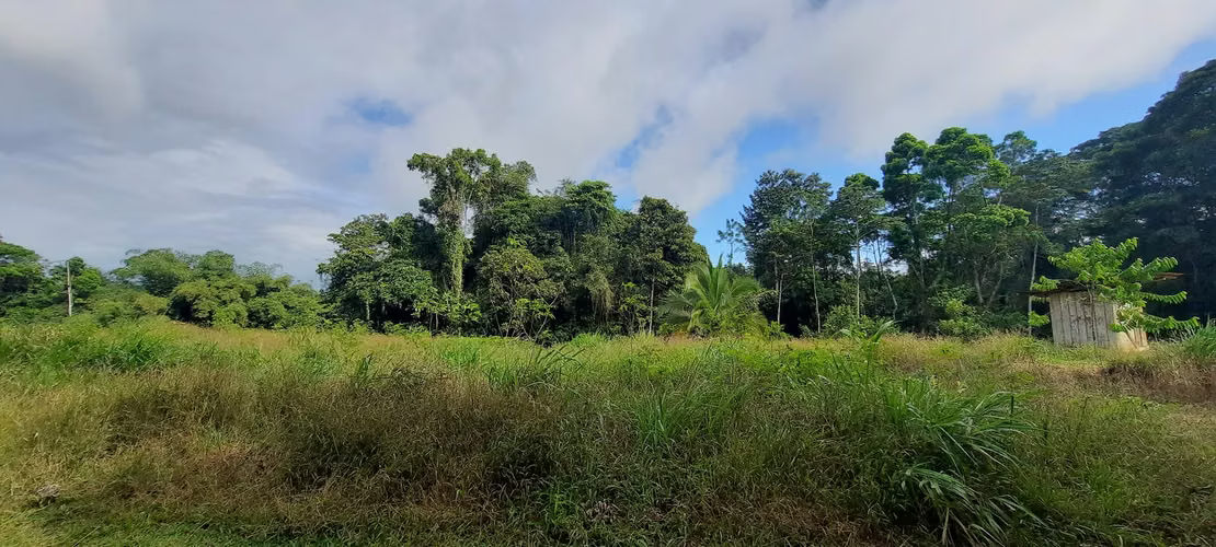 DE OPORTUNIDAD! TERRENO EN CANTON DE RIO CUARTO, ALAJUELA - Imagen 14
