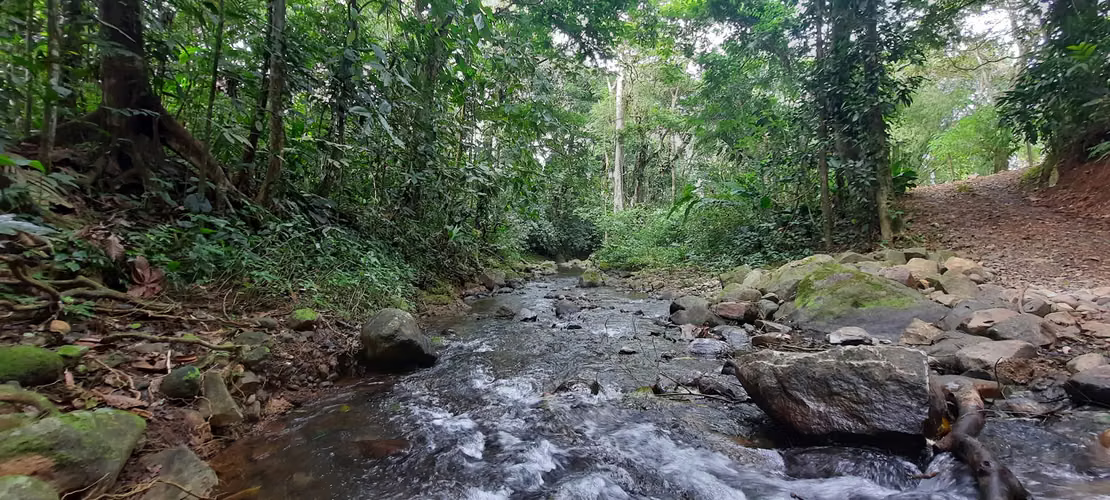 DE OPORTUNIDAD! TERRENO EN CANTON DE RIO CUARTO, ALAJUELA - Imagen 2