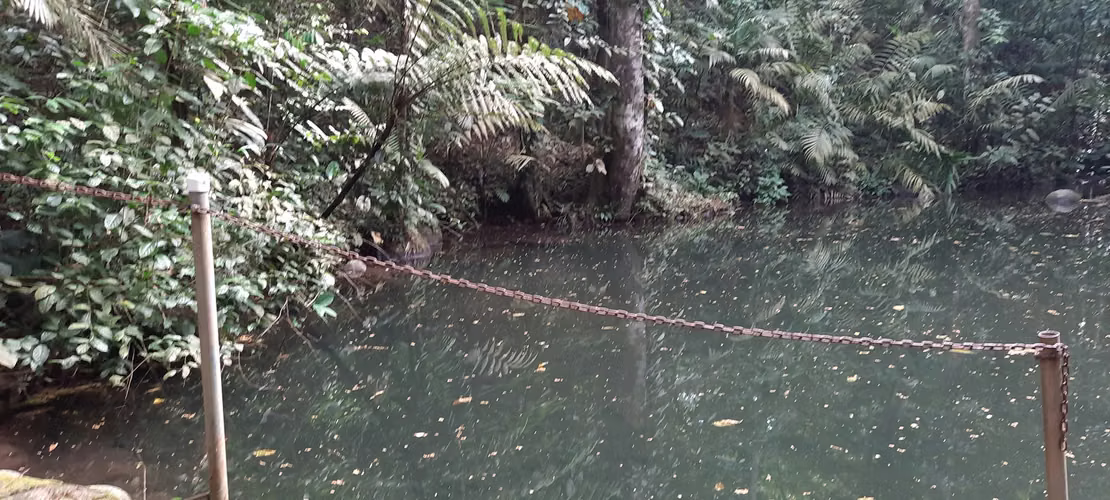 DE OPORTUNIDAD! TERRENO EN CANTON DE RIO CUARTO, ALAJUELA - Imagen 13