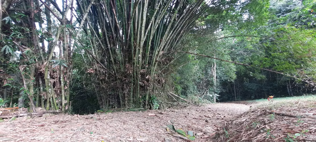 DE OPORTUNIDAD! TERRENO EN CANTON DE RIO CUARTO, ALAJUELA - Imagen 8
