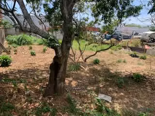 VILLA BONITA DE ALAJUELA!! PRECIOSO TERRENO. - Imagen 11