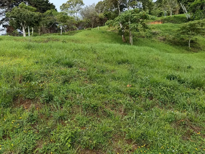 VENTA DE LOTE SAN ANTONIO DE ESCAZU - Imagen 2