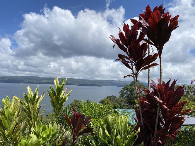 CABINAS CON VISTA AL LAGO ARENAL, FORTUNA, SAN CARLOS - Imagen 3