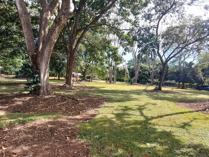 Lote en venta en Naranjo, plano de 5,369m2 en comunidad cerrada - Imagen 4