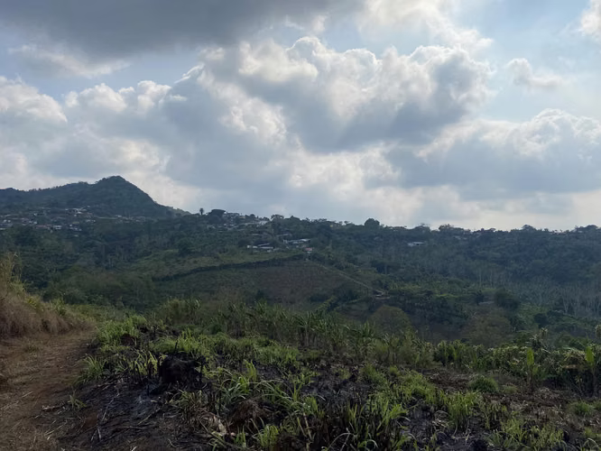 CUATRO HECTAREAS CON VISTA PANORÁMICA, SAN RAMÓN, ALAJUELA - Imagen 16