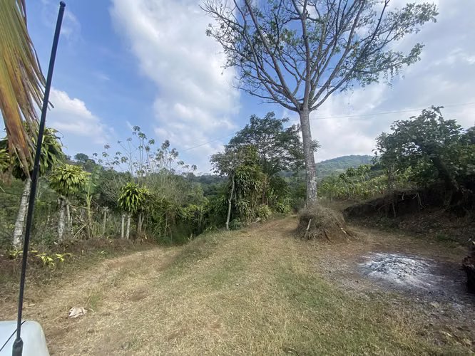 Gran Terreno con Vista Panorámica, San Ramón, Alajuela - Imagen 10