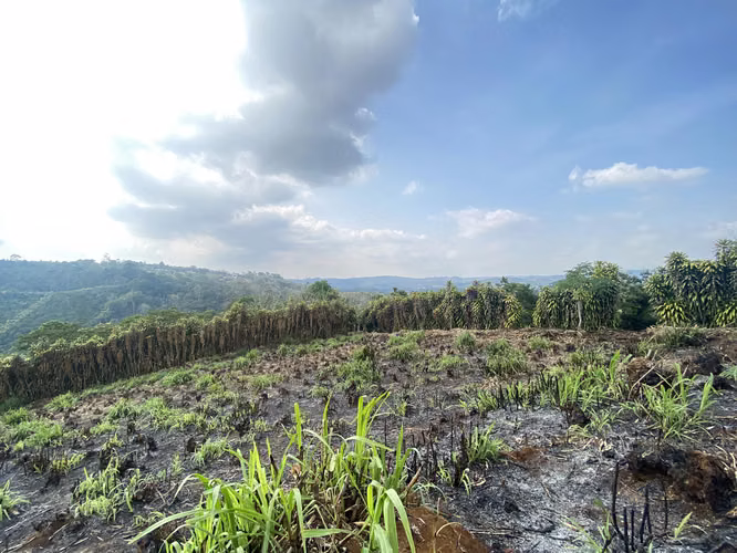 Gran Terreno con Vista Panorámica, San Ramón, Alajuela - Imagen 3