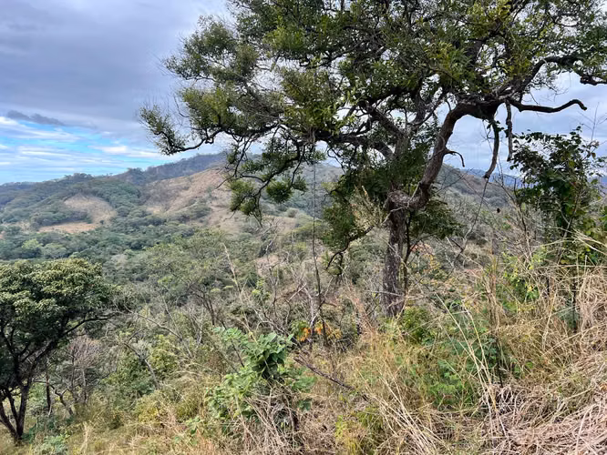 DESARROLLADORES! Venta de proyecto ya avanzado, Sta Cruz, Guanacaste - Imagen 5