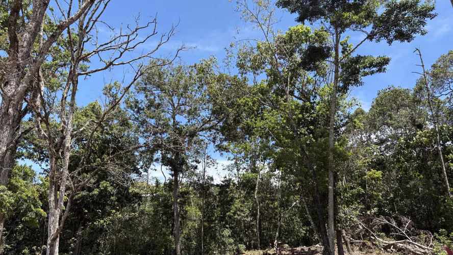 Propiedad en Venta – San Marcos de Tarrazú | 600 m² | Cerca de un Río