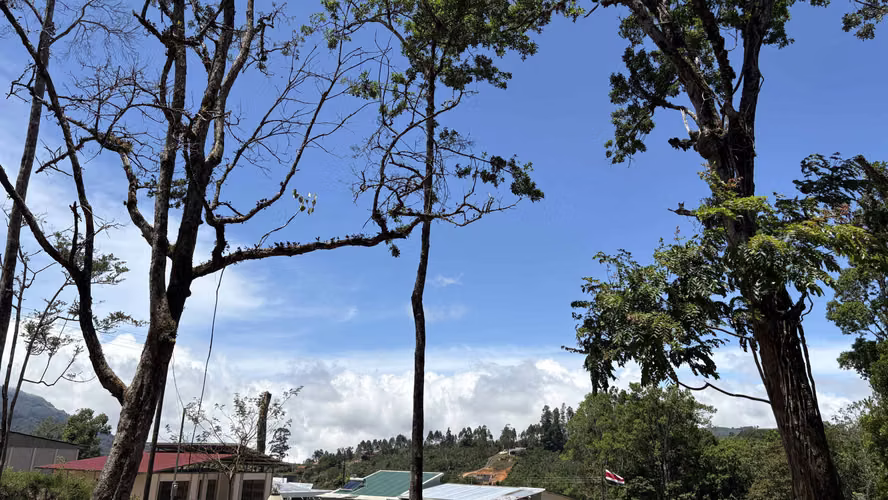 Propiedad en Venta – San Marcos de Tarrazú | 600 m² | Cerca de un Río