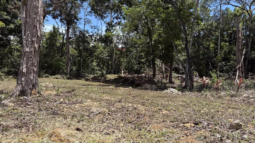 Propiedad en Venta – San Marcos de Tarrazú | 600 m² | Cerca de un Río