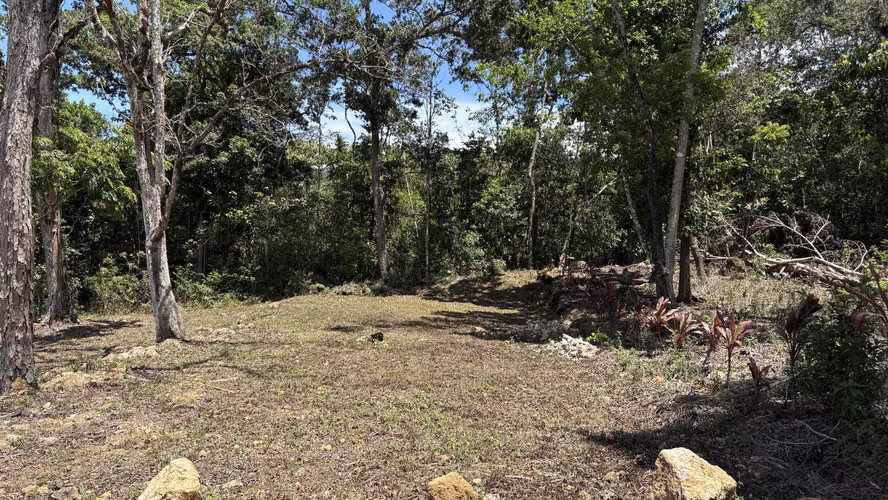 Propiedad en Venta – San Marcos de Tarrazú | 600 m² | Cerca de un Río