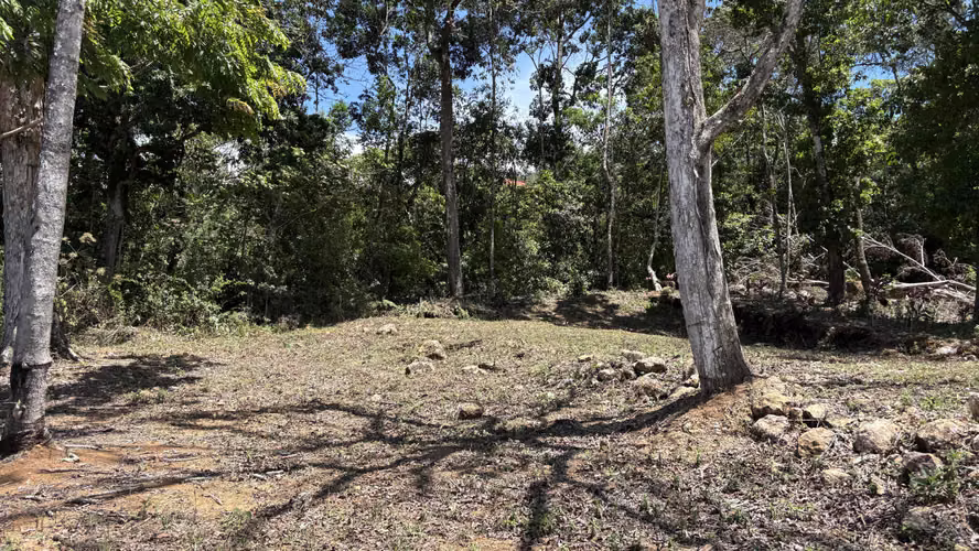Propiedad en Venta – San Marcos de Tarrazú | 600 m² | Cerca de un Río