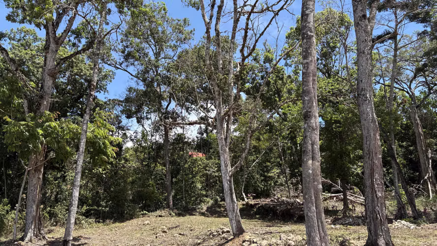 Propiedad en Venta – San Marcos de Tarrazú | 600 m² | Cerca de un Río
