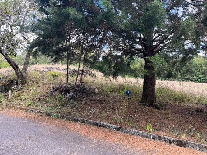 Venta Lote Hab de 1993,63m2 - Los Ángeles San Rafael de Heredia-5729 - Imagen 11