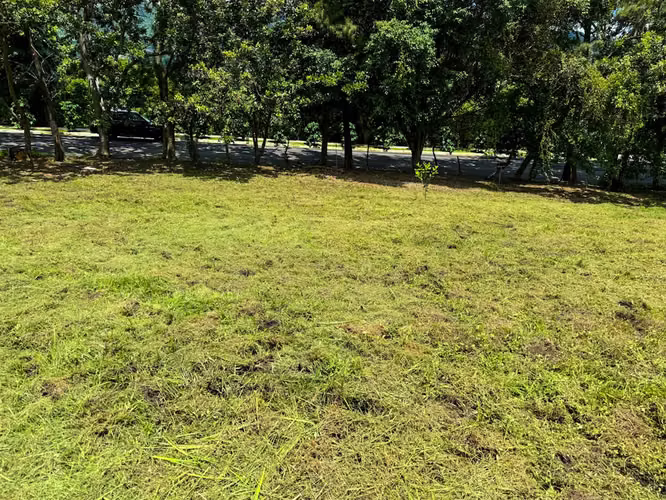 Venta de Lote en Bello Horizonte Escazú uso residencial para segregar
