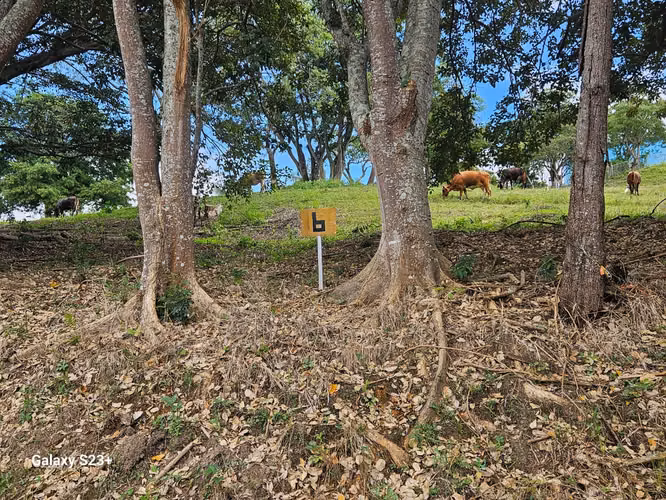 Venta de Lote en Bello Horizonte Escazú uso residencial para segregar - Imagen 4