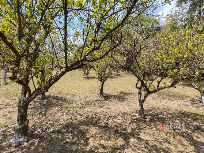 Lote en venta, Atenas, Los Ángeles. - Imagen 7